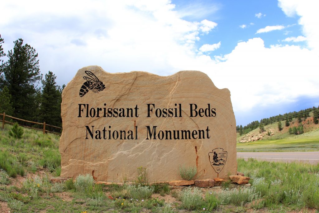 florissant fossil beds