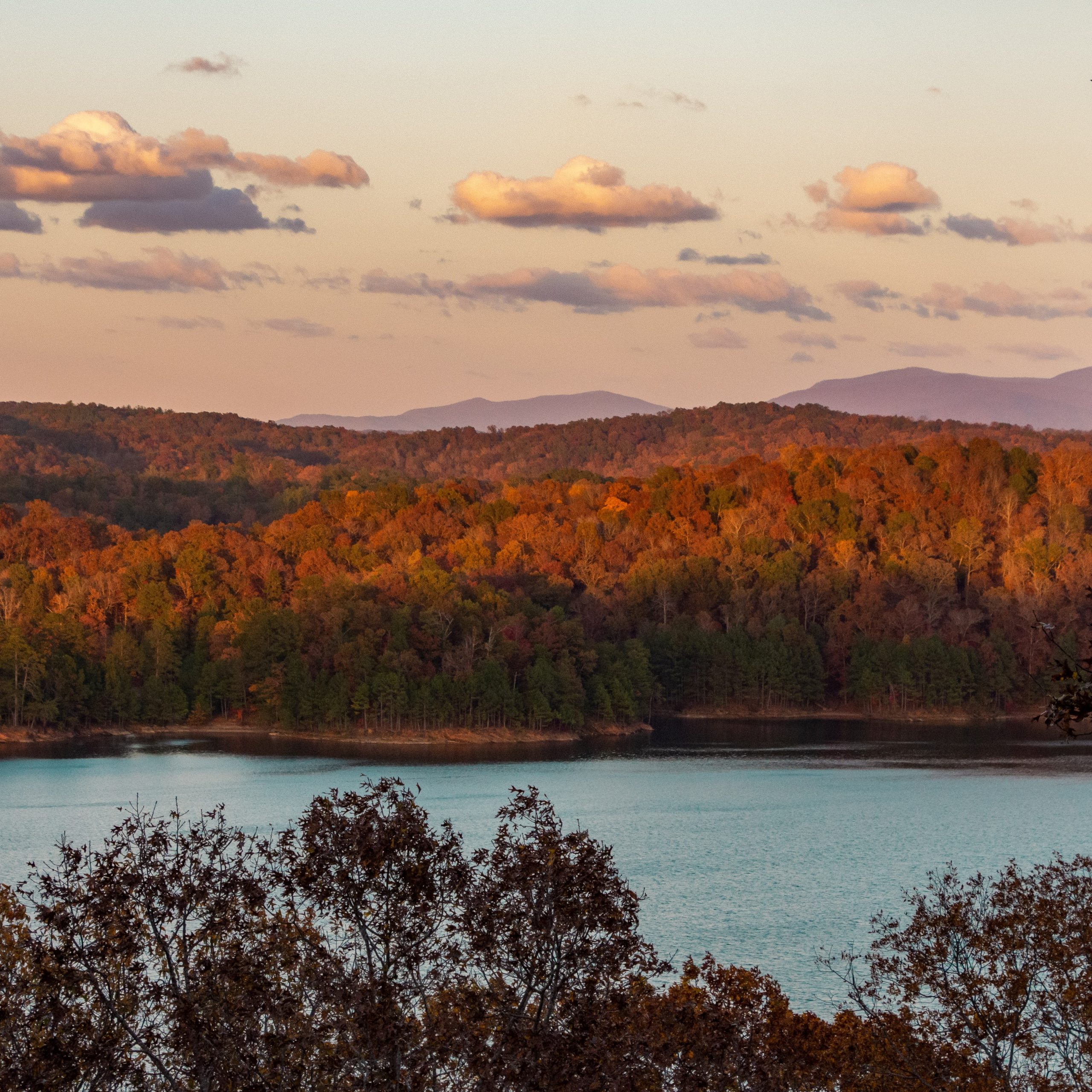 Picture of Lake with trees in background in Georgia